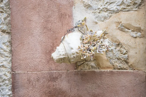 Flowerpot on street in of Mallorca — Stock Photo, Image