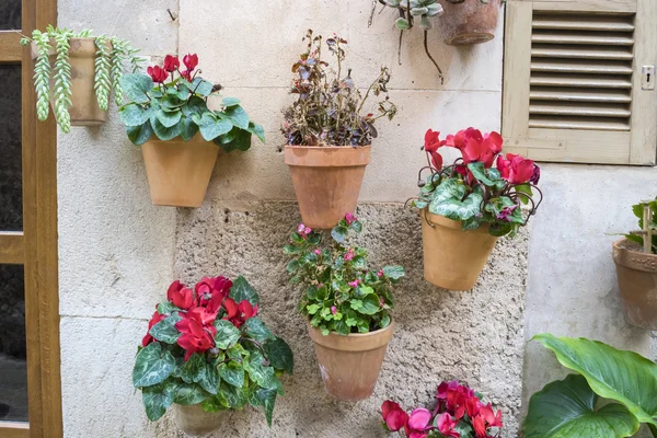 Flowerpots street of Mallorca — Stock Photo, Image