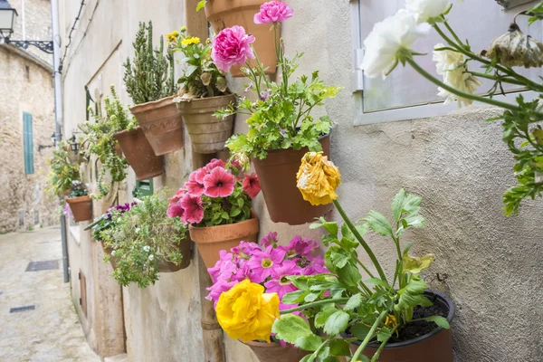 Flowerpots street of Mallorca — Stock Photo, Image