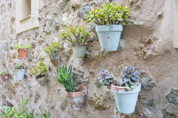 Flowerpots street of Mallorca — Stock Photo, Image