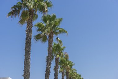 güzel sahil deniz boyunca