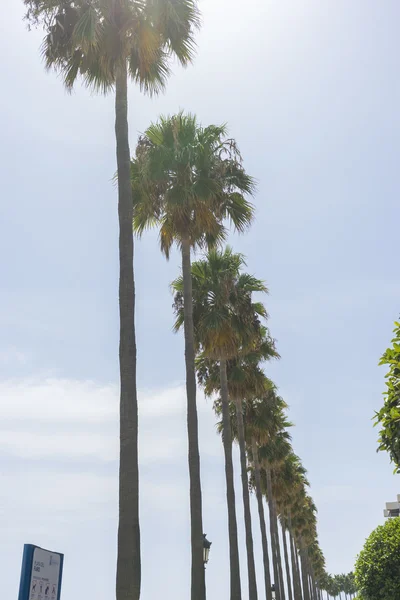 Belle promenade le long de la mer — Photo