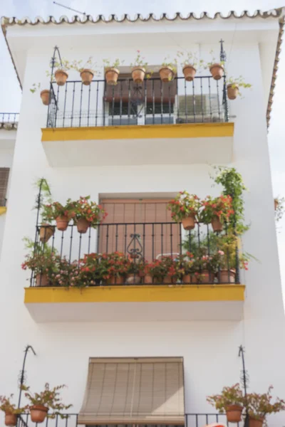 Calles tradicionales andaluzas con flores y casas blancas en — Foto de Stock