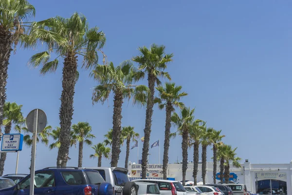 Calçadão ao longo do mar de palmas — Fotografia de Stock