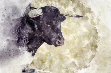 Cesaret, boğa güreşi gösterisi, boğa güreşçisi İspanyol geleneğiyle dövüşen bir boğa.