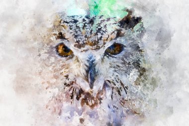 Yoğun gözleri ve güzel tüyleri olan güzel baykuş.