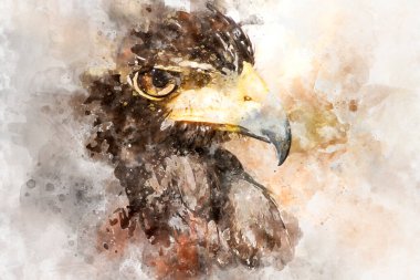 Suluboya, Amerikan Kartal Fare Kapanı