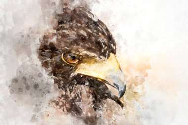 Suluboya, Amerikan Kartal Fare Kapanı
