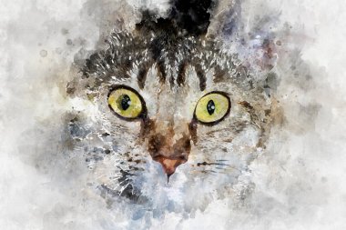 Sevimli kedi tüyü tekir