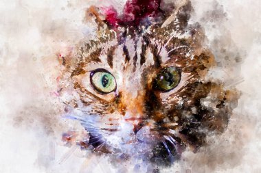 Yumuşak tenli genç ve sıradan bir kedi