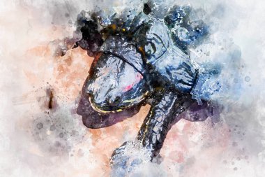 Fauna, kaplumbağa güneşte dinleniyor.