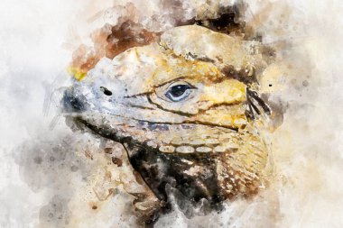 Pullu kertenkele derisi güneşte dinleniyor.