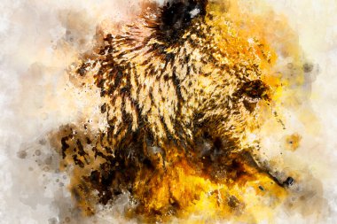 İspanyol güçlü kahverengi ayı, büyük ve güçlü vahşi hayvan.