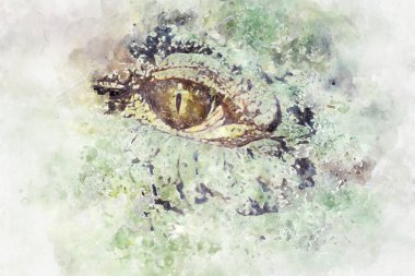 Tehlikeli timsah gözü detayı