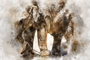 Yavru fil odun kütüğüyle oynuyor.