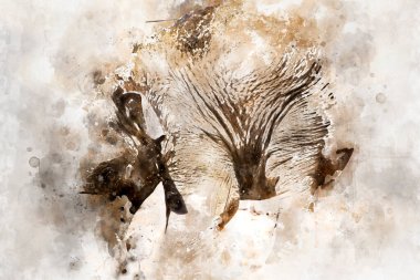 Yavru fil odun kütüğüyle oynuyor.