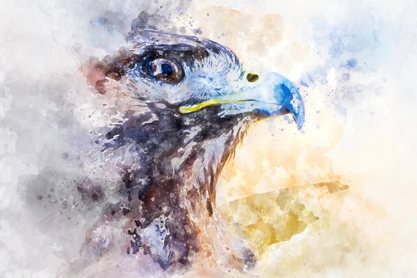 Aquarell Amerikanischer Adler Tagtäglicher Greifvogel Mit Schönem Gefieder Und Gelbem — Stockfoto