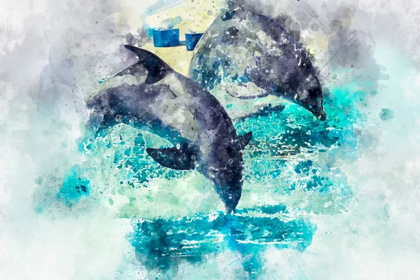 イルカは海の水から飛び降り — ストック写真