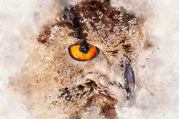 Βλέποντας Κουκουβάγια Αετός Ένα Δείγμα Αρπακτικών Πουλιών Μεσαιωνική Δίκαιη — Φωτογραφία Αρχείου