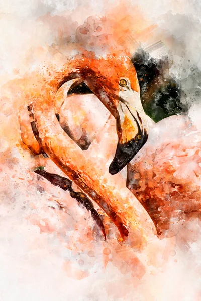 Детали Головы Фламинго Длинной Шеей — стоковое фото