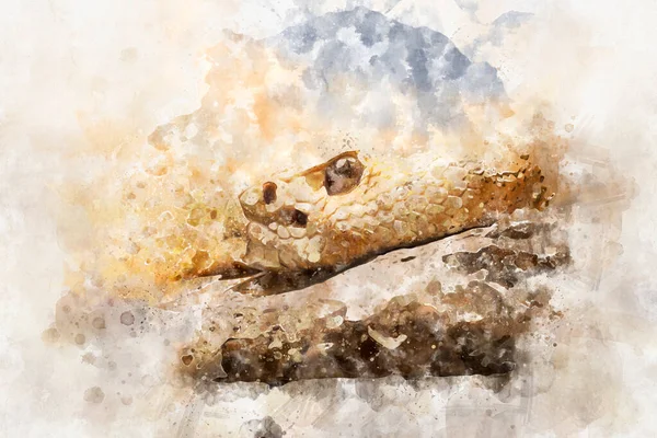 Beautiful Snake Lying Sun Fine Scales Skin — Stock Photo, Image