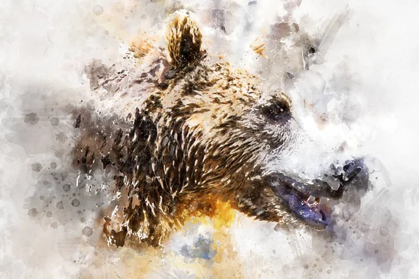 Predátor Krásný Chlupatý Medvěd Hnědý Savec — Stock fotografie