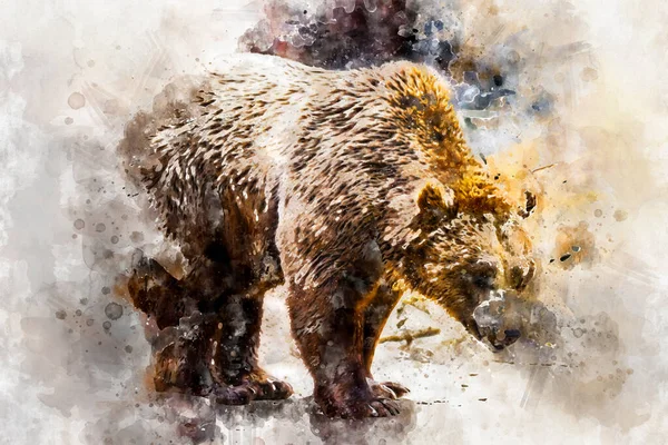 watercolor drawing of a brown bear, wild animal
