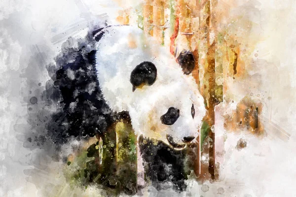 Vacker Avel Panda Björn Leker Ett Träd — Stockfoto