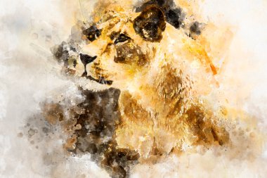 Tehlikeli, güçlü dişi aslan dinleniyor, kahverengi tüylü vahşi yaşam memelisi.