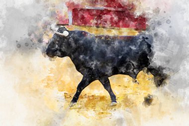İspanya 'dan boğa güreşi filmi. Corrida de Toros