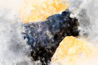 İspanya 'dan boğa güreşi filmi. Corrida de Toros