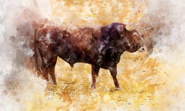 Watercolor, Spanish bulls (toros bravos) in Madrid. Famous from the traditional Spanish bullfights. clipart