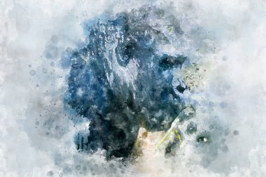 Anne, büyük ve güçlü goril, doğal çevre, büyük goril sessizce bitki yiyor.