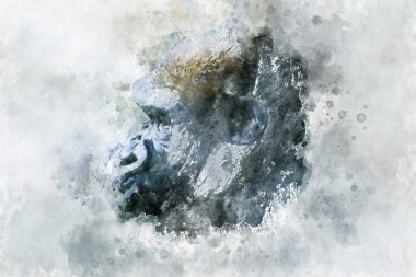 Baş anne, büyük ve güçlü goril, doğal çevre, büyük goril sessizce bitki yiyor.