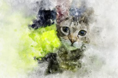 Sokak kedisi bir aile tarafından evlat edinilmiş, kedi yavrusu yaklaşık 3 aylık.