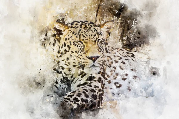 Pantera Krásný Mocný Leopard Odpočívající Slunci — Stock fotografie