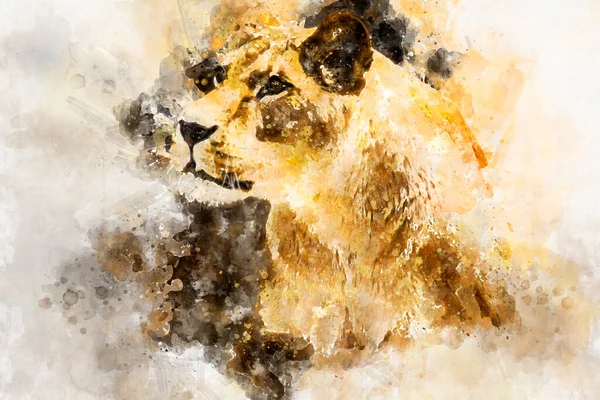 Tehlikeli, güçlü dişi aslan dinleniyor, kahverengi tüylü vahşi yaşam memelisi.