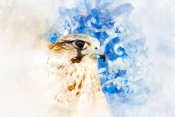 Disegno Acquerello Falco Maestoso Uccello Rapace — Foto Stock