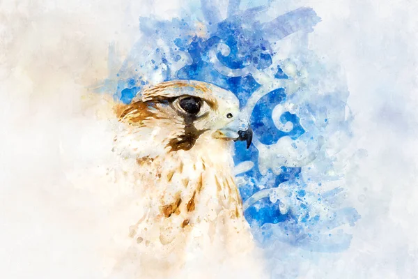 watercolor drawing of majestic hawk, bird of prey