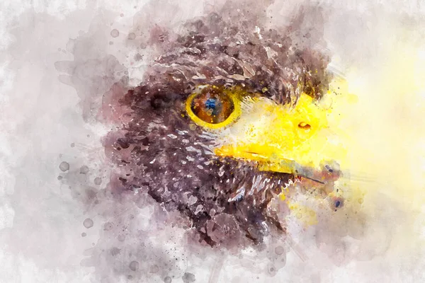 Ritratto Disegnato Golden Eagle Bird — Foto Stock