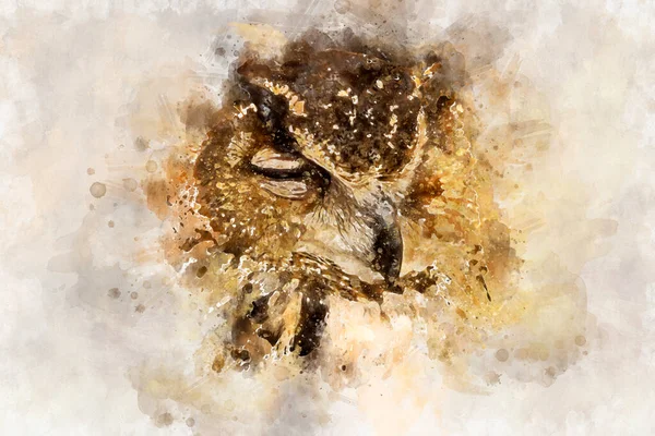 Watercolor Owl Portrait Golden Owl — Stock Photo, Image