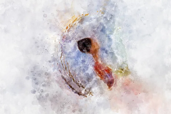 Retrato Coruja Pássaro Branco — Fotografia de Stock
