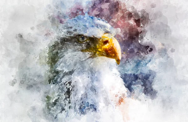 Suluboya Beyaz Başlı Amerikan Kartalı Beyaz Başlı Güzel Avcı Kuş — Stok fotoğraf