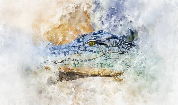 Aquarelle Predator Alligator Est Crocodilien Dans Genre Alligator Famille Des — Photo