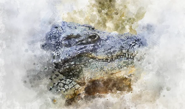 Aquarelle Alligator Est Crocodilien Dans Genre Alligator Famille Des Alligatoridae — Photo