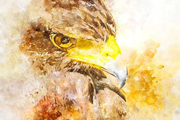 Acuarela Ratonera American Eagle —  Fotos de Stock