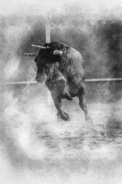 Entretenimiento Espectáculo Corridas Toros Donde Una Corrida Toros Torero Tradición —  Fotos de Stock