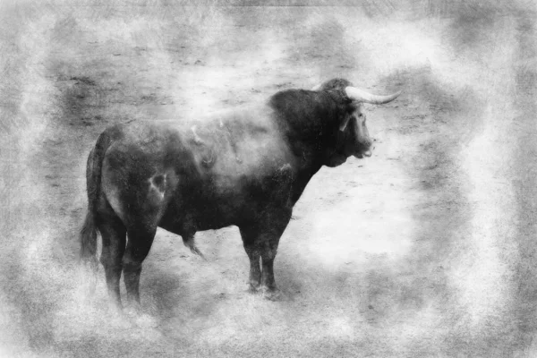 Tauromaquia Arena Madrid España Dibujo Blanco Negro — Foto de Stock