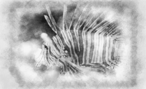 Pterois Antennata Feuerfische Inneren Des Meeres Neben Einem Korallenriff Gefährliche — Stockfoto