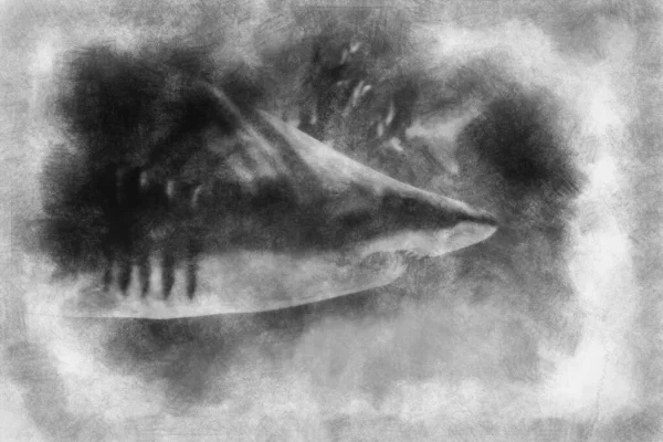 Большая Подводная Акула Фото Глубокой Синей Воде Черно Белый Рисунок — стоковое фото
